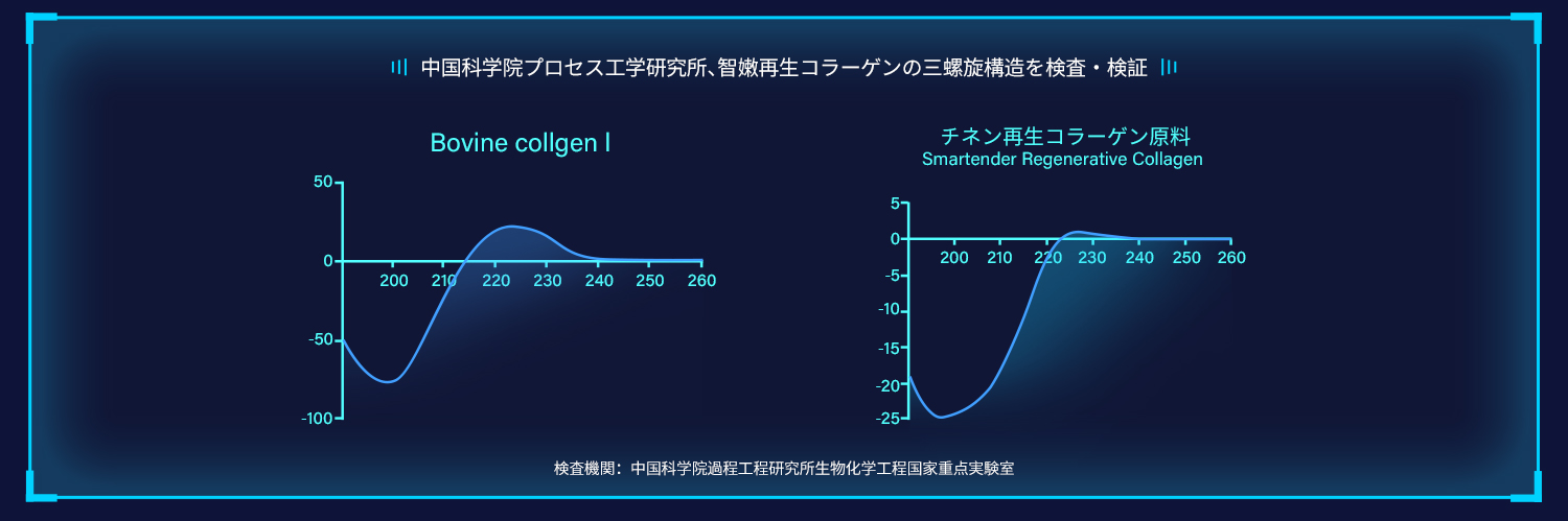 结论：本次CD光谱检测同时测定了牛I型胶原蛋白对照品，结果显示具有典型的221 nm附近的正峰和195 nm 附近的负峰，说明仪器使用性能和检测分析方法正常。智嫩再生胶原蛋白原料（样品批次：2308001）在195～200 nm 附近可检测到负峰，在220-230 nm之间检测到正峰，证明具备三螺旋结构。 备注：  溶解于50℃水中，离心取上清，上清液通过圆二色谱检测。    检测结构：中国科学院过程工程研究所生化工程国家重点实验室