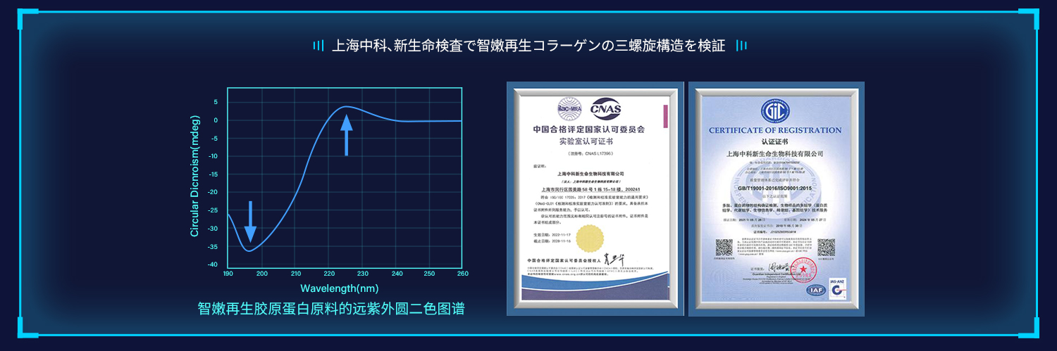 智嫩再生胶原蛋白原料在197nm附近出现明显的负峰，224nm附近有正峰，为左旋聚脯氨酸构型典型CD特征。 圆二色谱的正负峰强度比称为RPN，RPN值是胶原三螺旋结构的特征性指标，非变性胶原的RPN值一般在0.12左右，观察到智嫩再生胶原蛋白的RPN值为0.12。 以上光谱数据说明智嫩再生胶原蛋白具有三螺旋结构的特征。